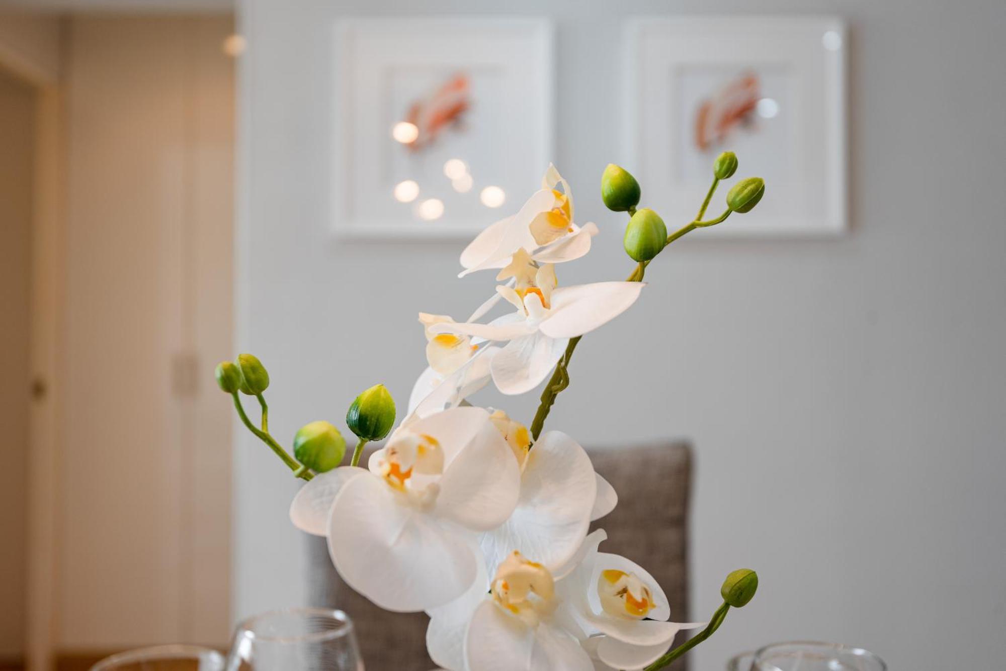 Skyliving Towers Apartments - Peru Lima Ngoại thất bức ảnh